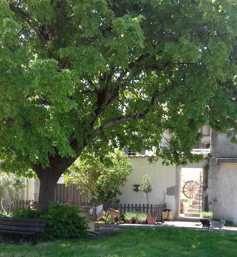 Le Patio Aux Hirondelles Villa Lagorce  Buitenkant foto